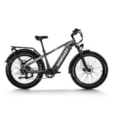 Himiway Fat Bike Zebra