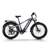 Himiway Fat Bike Zebra