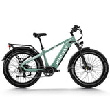 Himiway Fat Bike Zebra