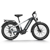 Himiway Fat Bike Zebra