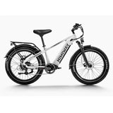 Himiway Fat Bike Zebra