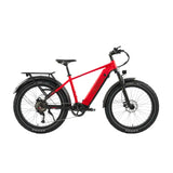 Rize X EBIKE