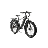 Rize X EBIKE